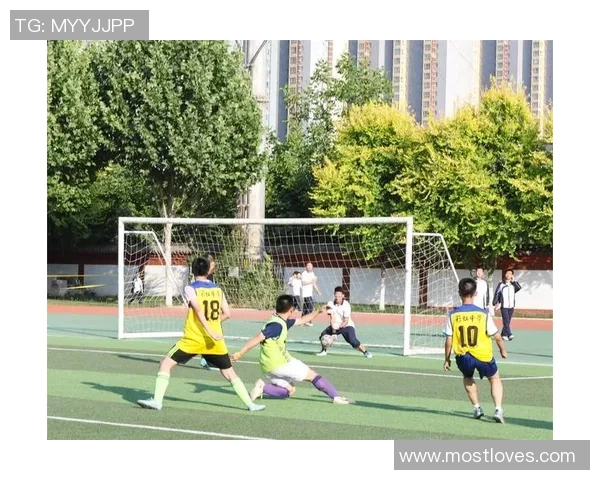 足球之拼搏：在绿茵场上追逐梦想与荣耀的青春故事